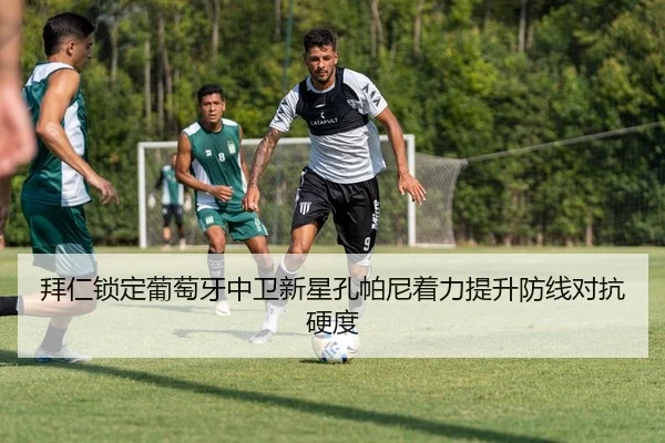 拜仁锁定葡萄牙中卫新星孔帕尼着力提升防线对抗硬度